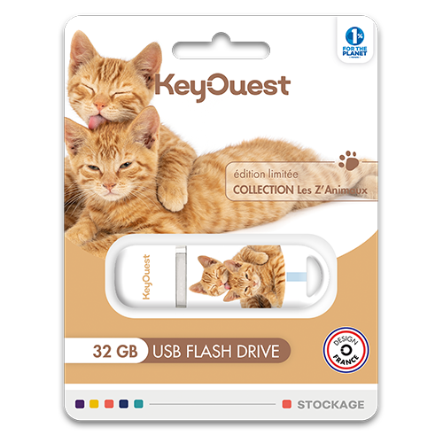 clé USB Chat Tigré 32 Go