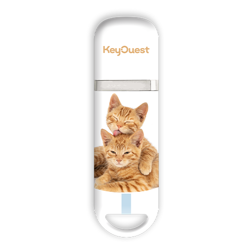 clé USB Chat Tigré