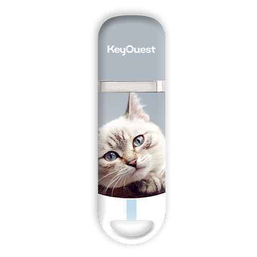 clé USB Chat Mignon