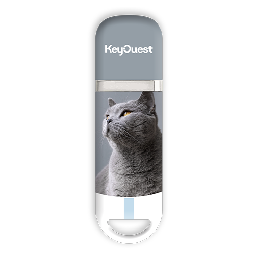 Clé USB Chat Chartreux