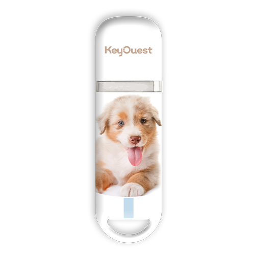 clé USB Berger Australien